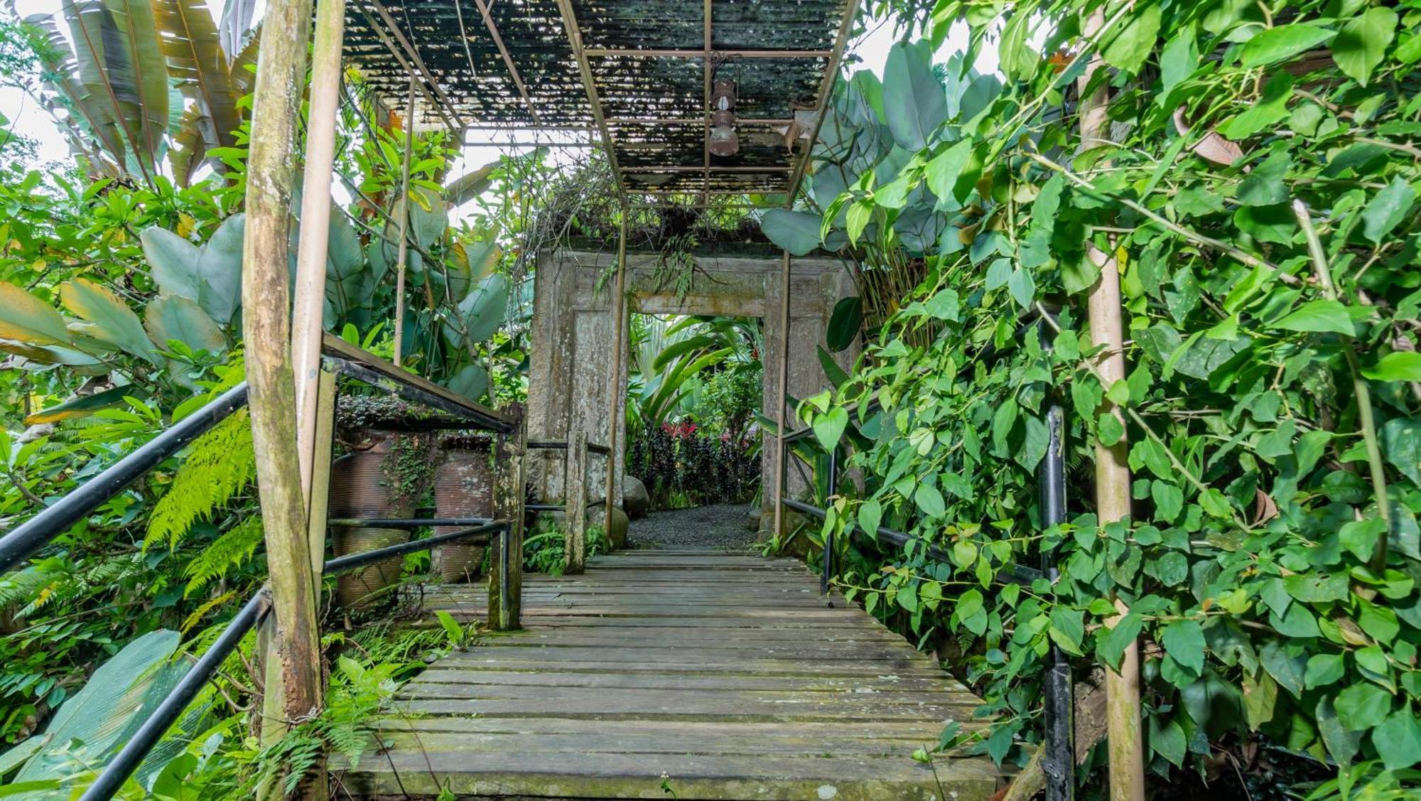 Umah Tis Sebatu Villa Tegallalang  Dış mekan fotoğraf