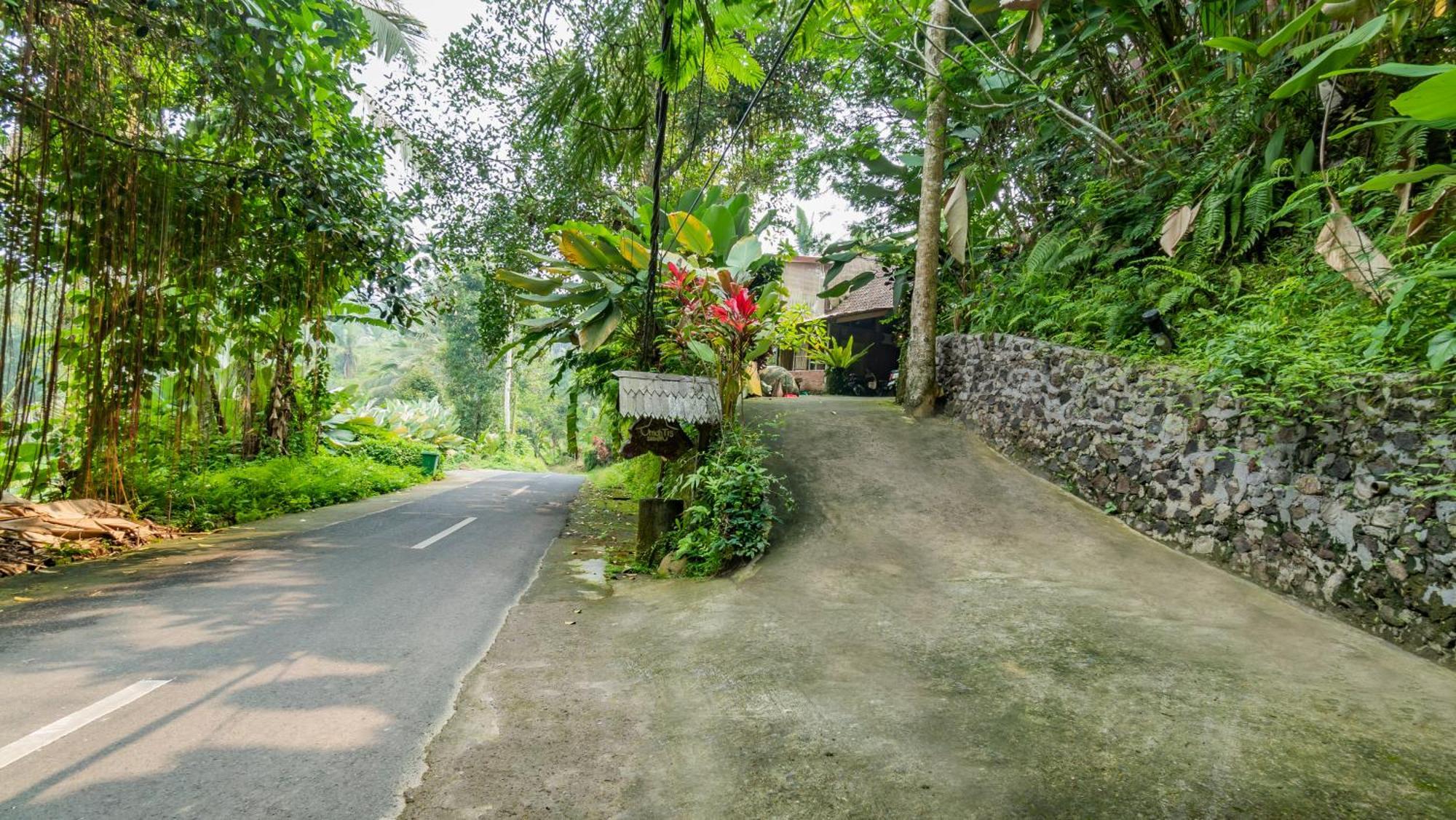 Umah Tis Sebatu Villa Tegallalang  Dış mekan fotoğraf